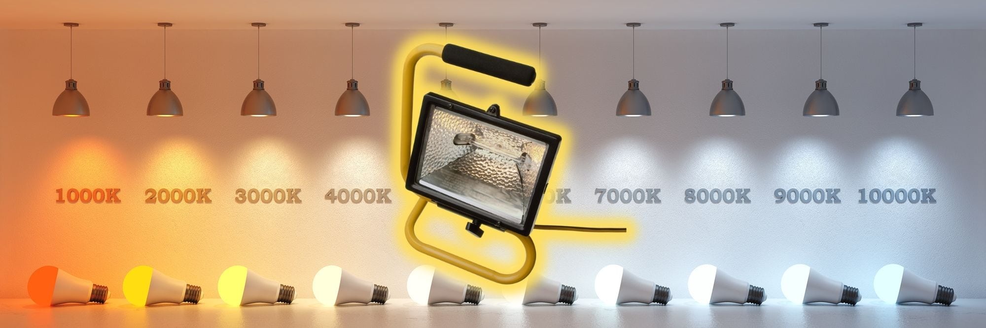 The Best Light For Painting Walls? A Professional’s view