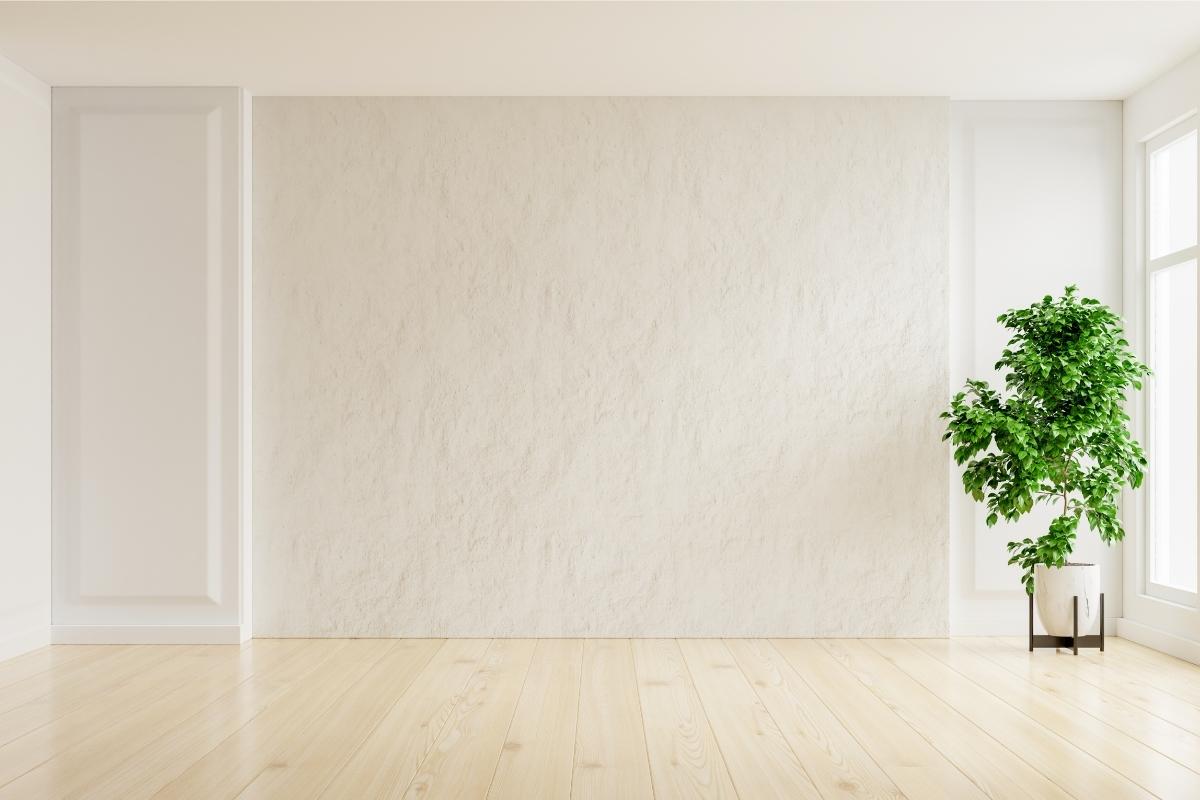 How to paint plaster walls
